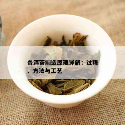 普洱茶制造原理详解：过程、方法与工艺