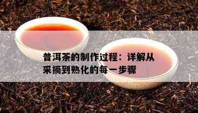 普洱茶的制作过程：详解从采摘到熟化的每一步骤