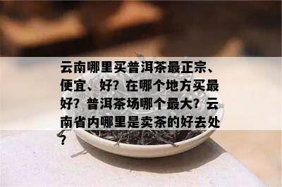 云南哪里买普洱茶最正宗、便宜、好？在哪个地方买更好？普洱茶场哪个更大？云南省内哪里是卖茶的好去处？