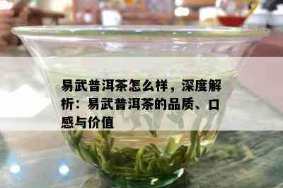 易武普洱茶怎么样，深度解析：易武普洱茶的品质、口感与价值