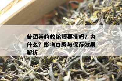 普洱茶的收缩膜要撕吗？为什么？影响口感与保存效果解析