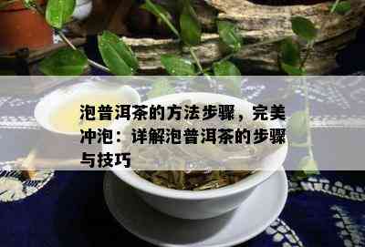 泡普洱茶的方法步骤，完美冲泡：详解泡普洱茶的步骤与技巧