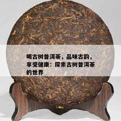 喝古树普洱茶，品味古韵，享受健康：探索古树普洱茶的世界