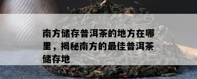 南方储存普洱茶的地方在哪里，揭秘南方的更佳普洱茶储存地