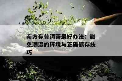 南方存普洱茶更好办法：避免潮湿的环境与正确储存技巧