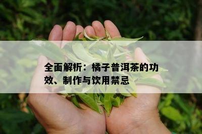 全面解析：橘子普洱茶的功效、制作与饮用禁忌