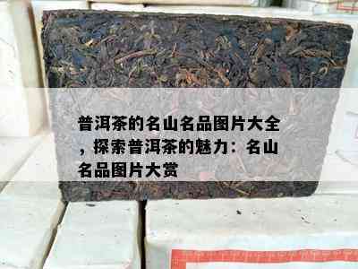 普洱茶的名山名品图片大全，探索普洱茶的魅力：名山名品图片大赏