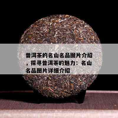 普洱茶的名山名品图片介绍，探寻普洱茶的魅力：名山名品图片详细介绍