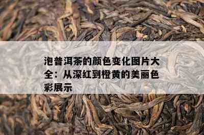 泡普洱茶的颜色变化图片大全：从深红到橙黄的美丽色彩展示