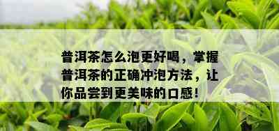 普洱茶怎么泡更好喝，掌握普洱茶的正确冲泡方法，让你品尝到更美味的口感！