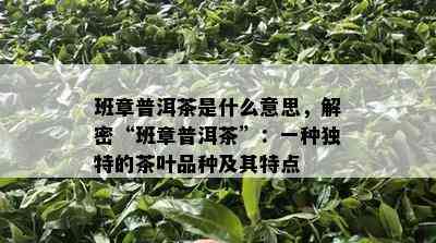 班章普洱茶是什么意思，解密“班章普洱茶”：一种独特的茶叶品种及其特点