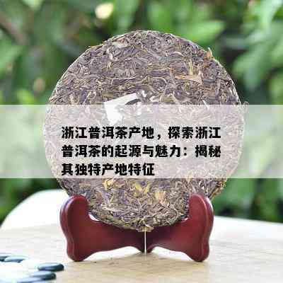 浙江普洱茶产地，探索浙江普洱茶的起源与魅力：揭秘其独特产地特征