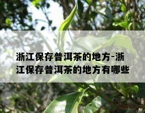 浙江保存普洱茶的地方-浙江保存普洱茶的地方有哪些