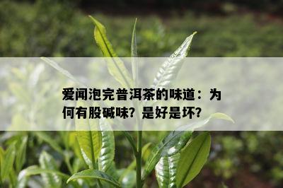 爱闻泡完普洱茶的味道：为何有股碱味？是好是坏？