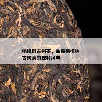 杨梅树古树茶，品尝杨梅树古树茶的独特风味