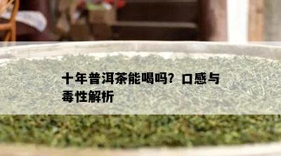 十年普洱茶能喝吗？口感与性解析