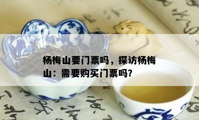 杨梅山要门票吗，探访杨梅山：需要购买门票吗？