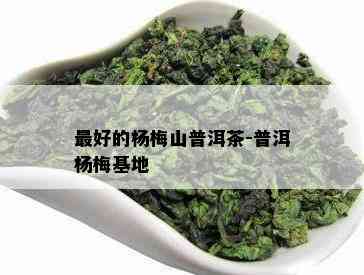 更好的杨梅山普洱茶-普洱杨梅基地