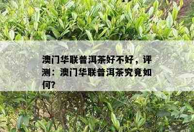 华联普洱茶好不好，评测：华联普洱茶究竟如何？