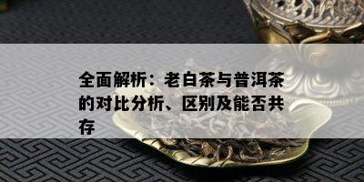 全面解析：老白茶与普洱茶的对比分析、区别及能否共存