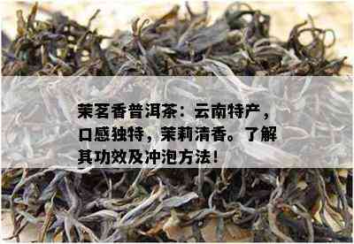 茉茗香普洱茶：云南特产，口感独特，茉莉清香。了解其功效及冲泡方法！