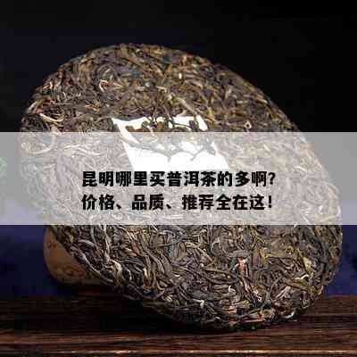 昆明哪里买普洱茶的多啊？价格、品质、推荐全在这！