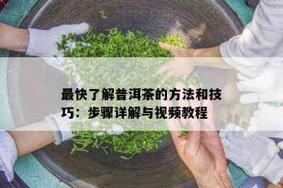 最快了解普洱茶的方法和技巧：步骤详解与视频教程