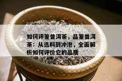 如何评鉴普洱茶，品鉴普洱茶：从选料到冲泡，全面解析如何评价它的品质