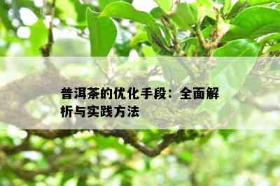 普洱茶的优化手段：全面解析与实践方法