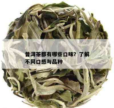 普洱茶都有哪些口味？了解不同口感与品种