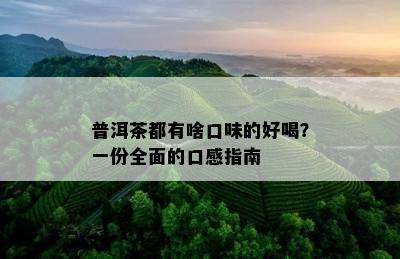 普洱茶都有啥口味的好喝？一份全面的口感指南