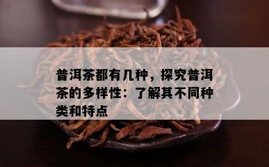 普洱茶都有几种，探究普洱茶的多样性：了解其不同种类和特点