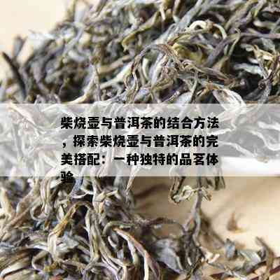 柴烧壶与普洱茶的结合方法，探索柴烧壶与普洱茶的完美搭配：一种独特的品茗体验