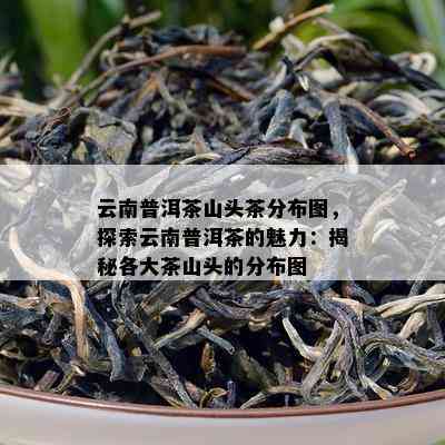 云南普洱茶山头茶分布图，探索云南普洱茶的魅力：揭秘各大茶山头的分布图