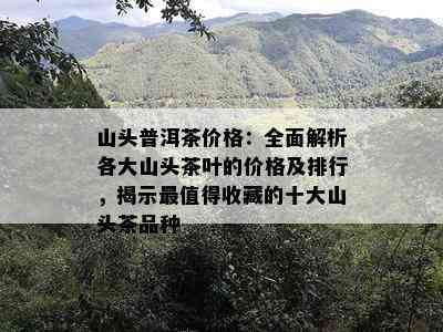 山头普洱茶价格：全面解析各大山头茶叶的价格及排行，揭示最值得收藏的十大山头茶品种