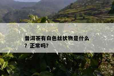 普洱茶有白色丝状物是什么？正常吗？