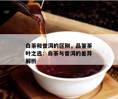 白茶和普洱的区别，品鉴茶叶之选：白茶与普洱的差异解析