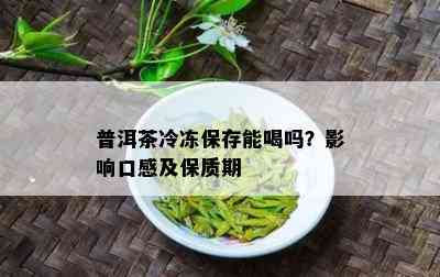 普洱茶冷冻保存能喝吗？影响口感及保质期