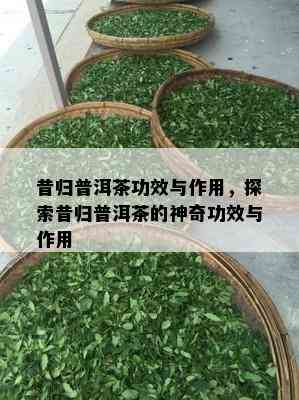 昔归普洱茶功效与作用，探索昔归普洱茶的神奇功效与作用