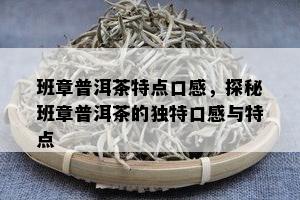 班章普洱茶特点口感，探秘班章普洱茶的独特口感与特点