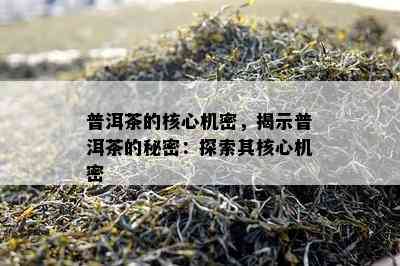 普洱茶的核心机密，揭示普洱茶的秘密：探索其核心机密