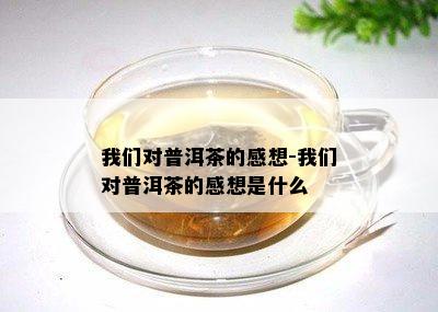 我们对普洱茶的感想-我们对普洱茶的感想是什么