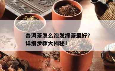 普洱茶怎么泡发绿茶更好？详细步骤大揭秘！