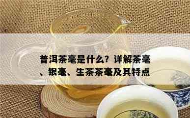 普洱茶毫是什么？详解茶毫、银毫、生茶茶毫及其特点