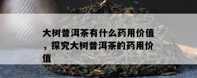 大树普洱茶有什么用价值，探究大树普洱茶的用价值