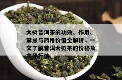 大树普洱茶的功效、作用、禁忌与用价值全解析，一文了解普洱大树茶的价格及市场行情