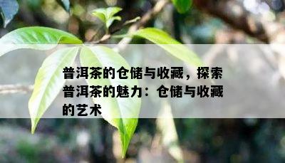 普洱茶的仓储与收藏，探索普洱茶的魅力：仓储与收藏的艺术