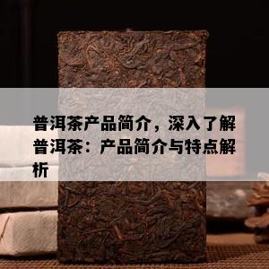 普洱茶产品简介，深入了解普洱茶：产品简介与特点解析