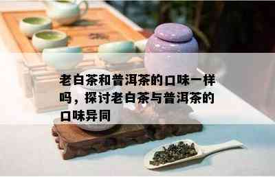 老白茶和普洱茶的口味一样吗，探讨老白茶与普洱茶的口味异同