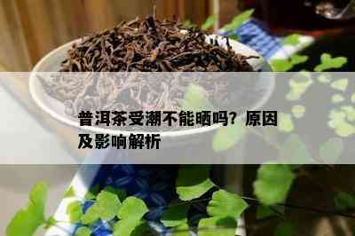 普洱茶受潮不能晒吗？原因及影响解析